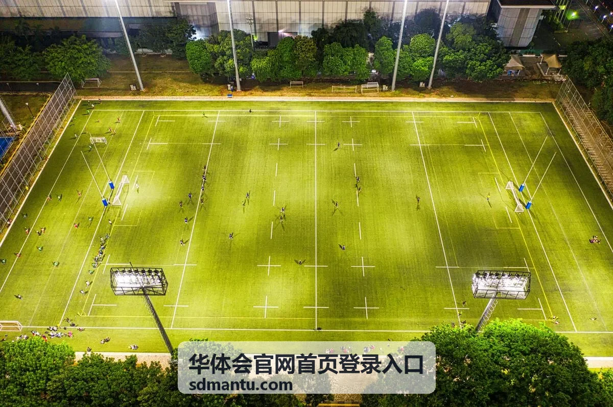 华体会官网首页登录入口的账号信息核对待办配图