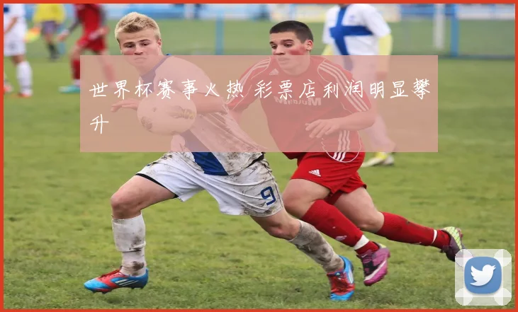 世界杯赛事火热 彩票店利润明显攀升